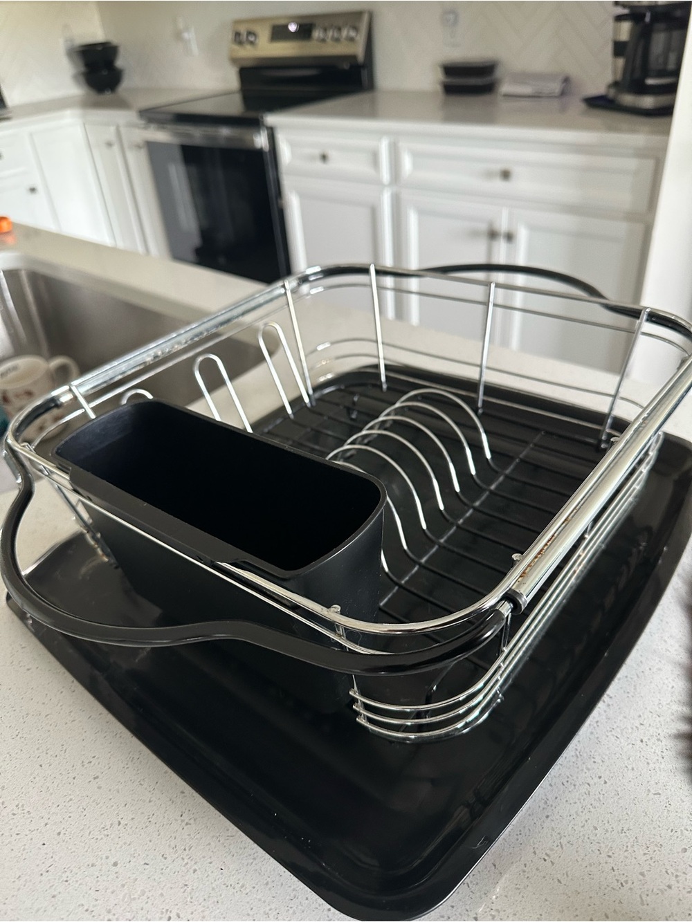 Black Dish Drying Rack with Utensil Holder & Dish Pan